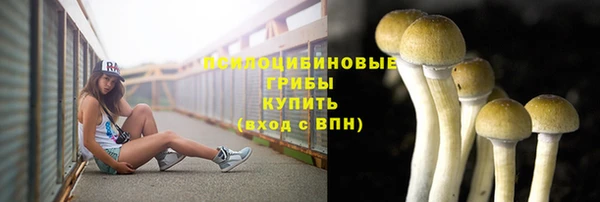 2c-b Навашино