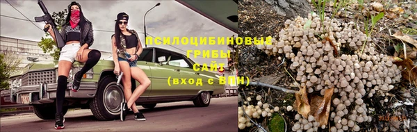 ешки Аксай